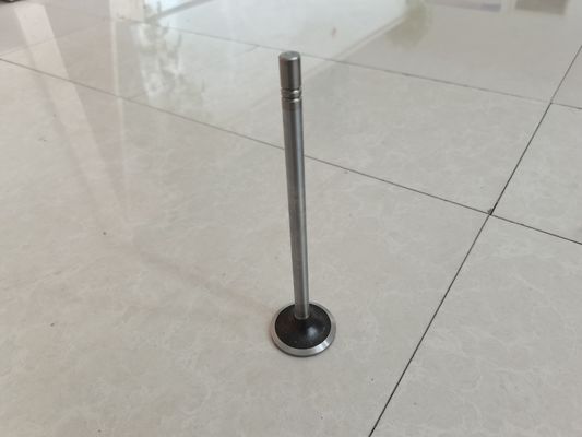 Motor Emme Valfi Egzoz Valfi Parçaları 252-7802 224-3030 Özelleştirilmiş