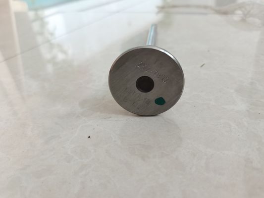 Motor Emme Valfi Egzoz Valfi Parçaları 252-7802 224-3030 Özelleştirilmiş