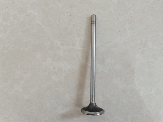 Motor Emme Valfi Egzoz Valfi Parçaları 252-7802 224-3030 Özelleştirilmiş